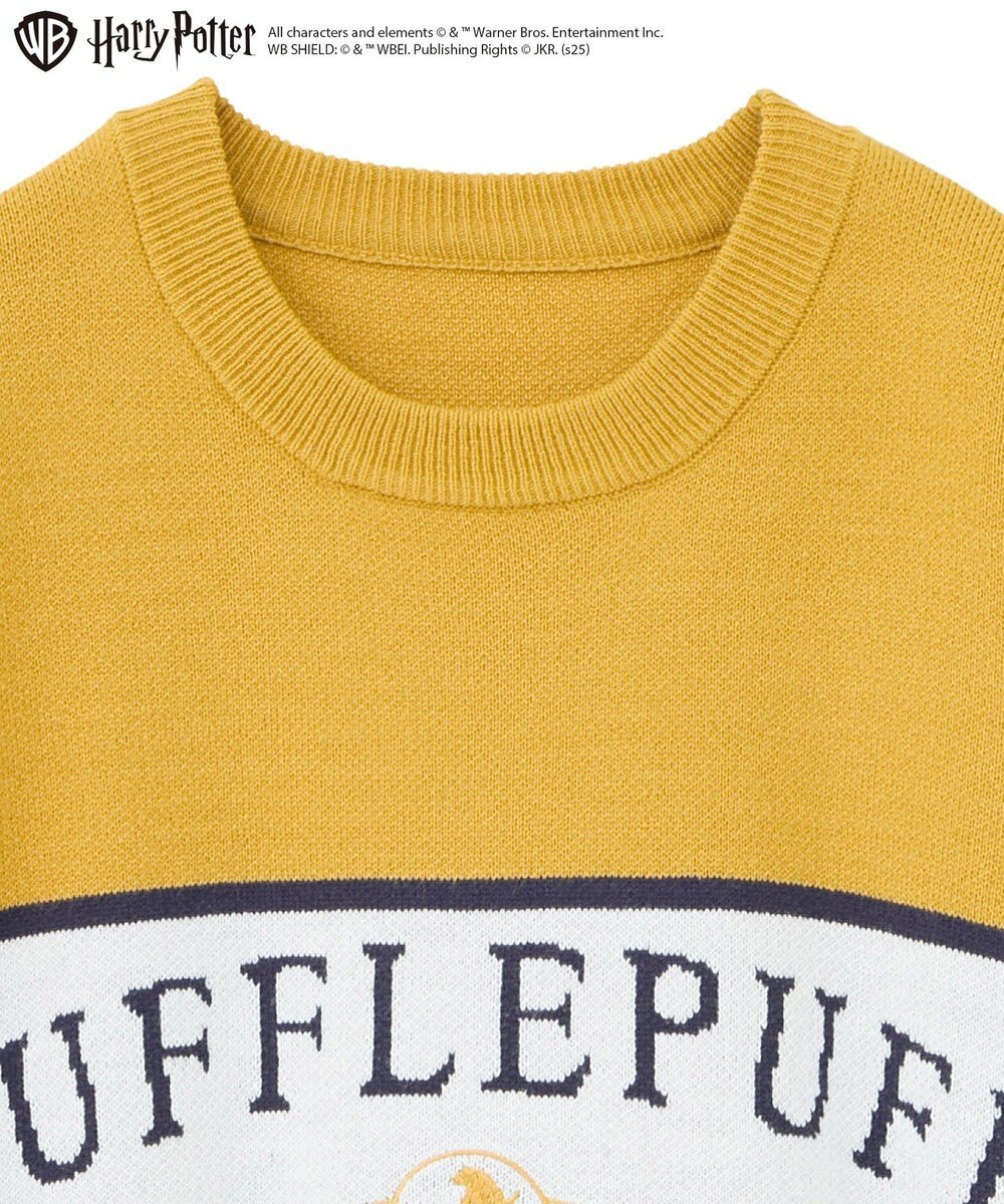 Green Parks ハリー・ポッター／ジャガードラインニット 