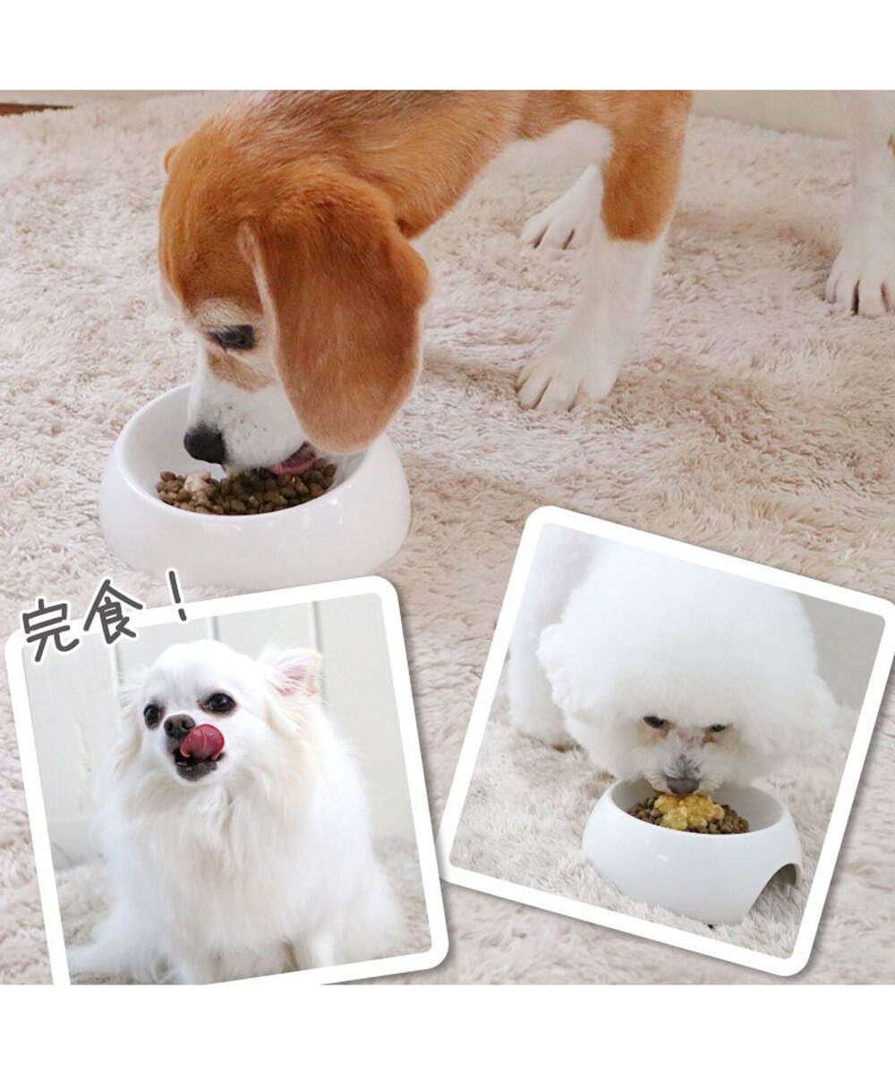 PET PARADISE リアルフード パウチスープ バラエティパック 《砂肝＆パンプキン/ レバー＆キャロット/ チキン＆ブロッコリー》 国産 