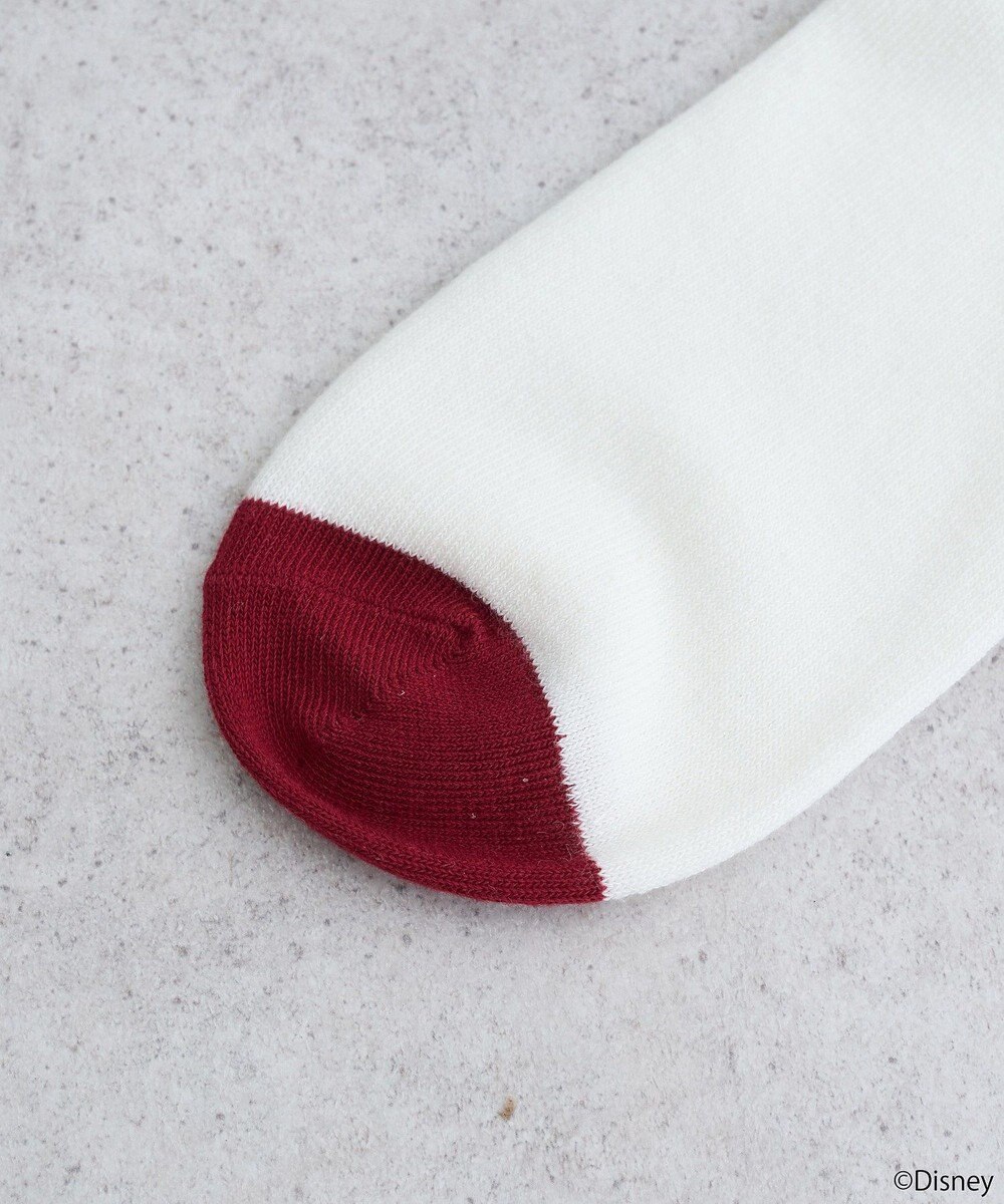 earth music&ecology チップ＆デール／ラインソックス 