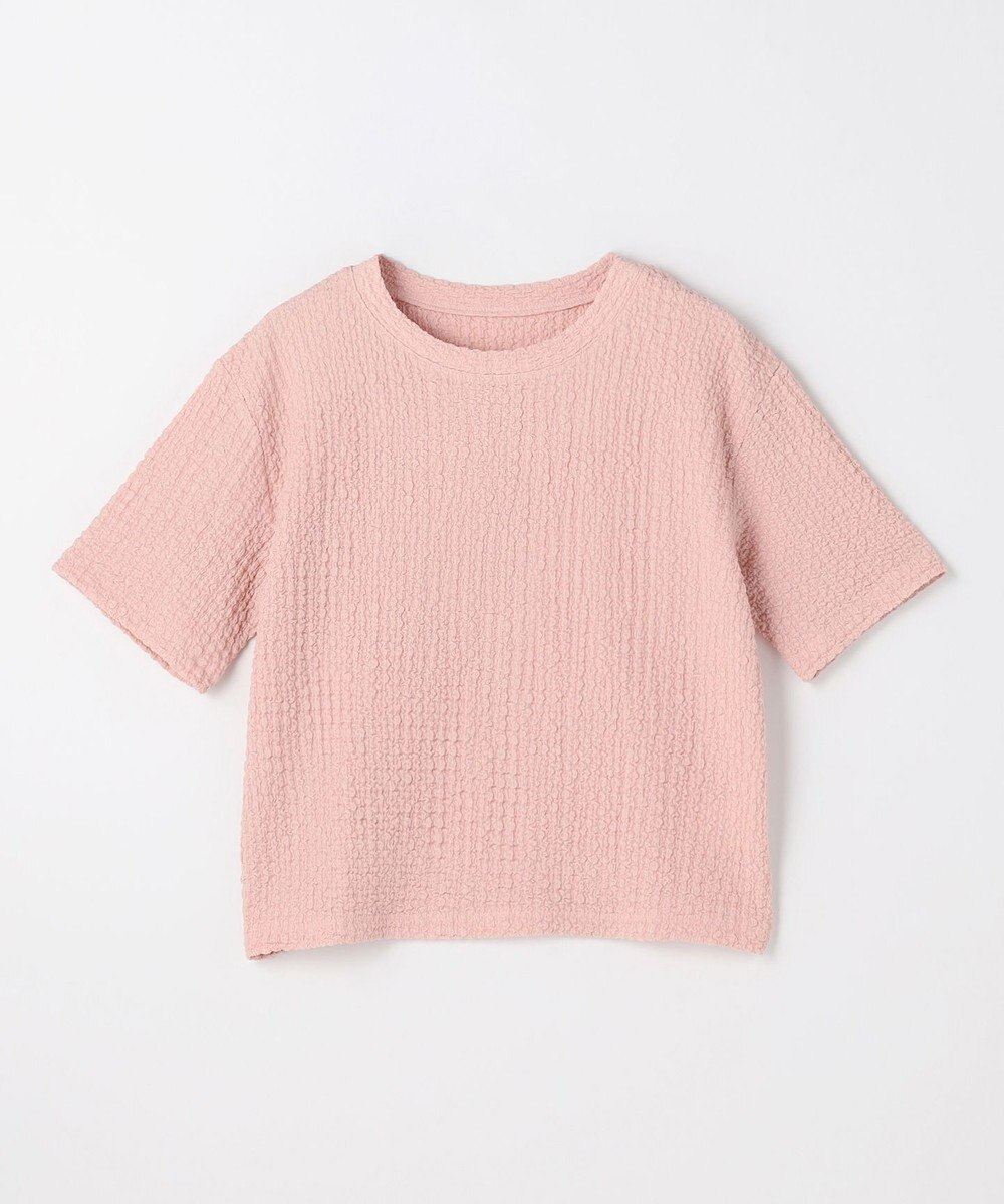 ANY L レースショート丈Tシャツ 