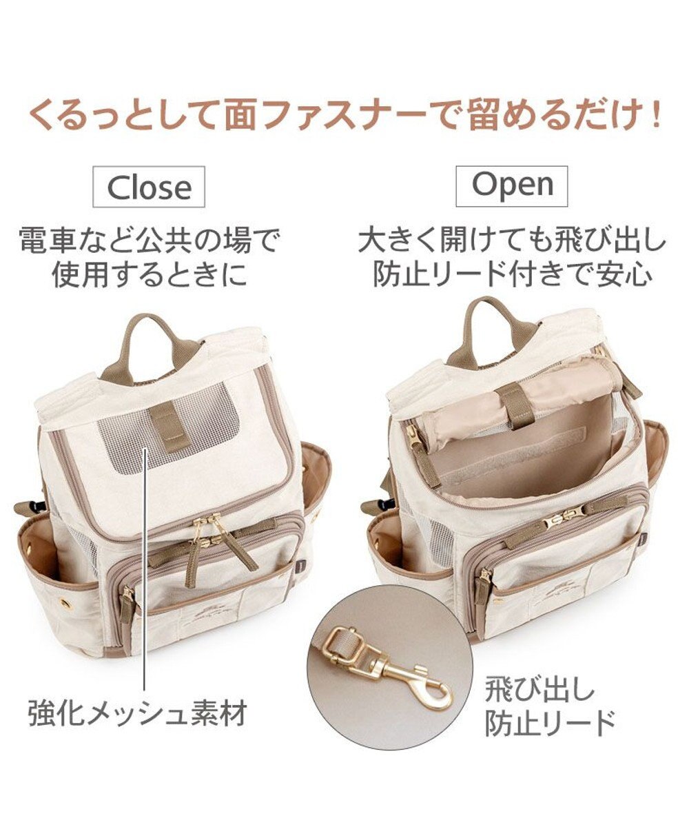 PET PARADISE ペットパラダイス くまちゃん帆布 ハグ＆リュック Ｌ 小型犬 