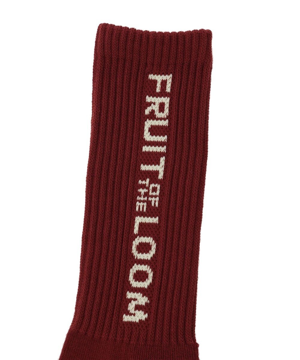 Green Parks ■ＦＲＵＩＴ　ＯＦ　ＴＨＥ　ＬＯＯＭ　３Ｐ縦ロゴソックス 