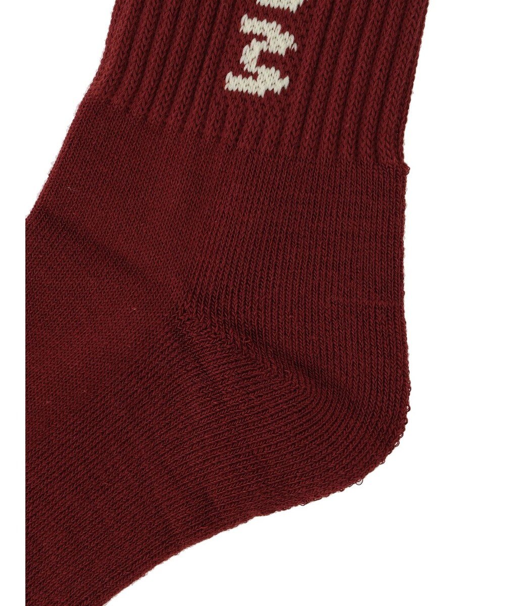 Green Parks ■ＦＲＵＩＴ　ＯＦ　ＴＨＥ　ＬＯＯＭ　３Ｐ縦ロゴソックス 