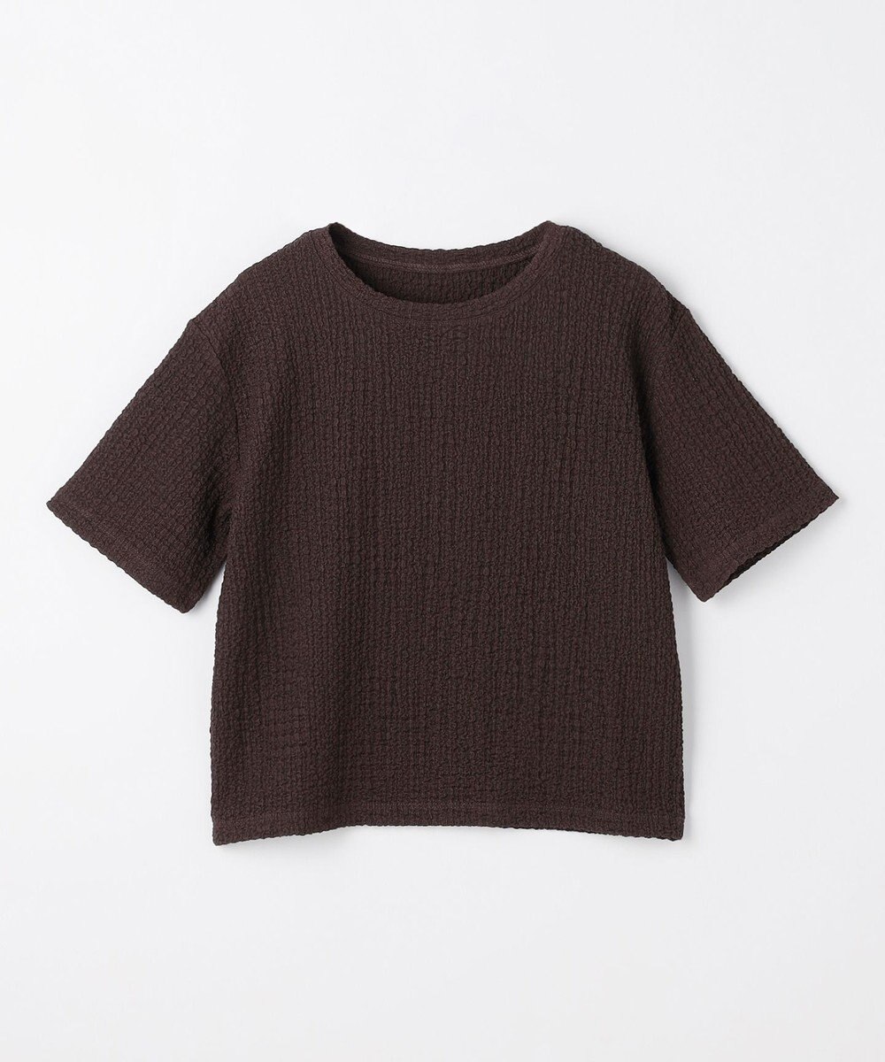 ANY L レースショート丈Tシャツ 