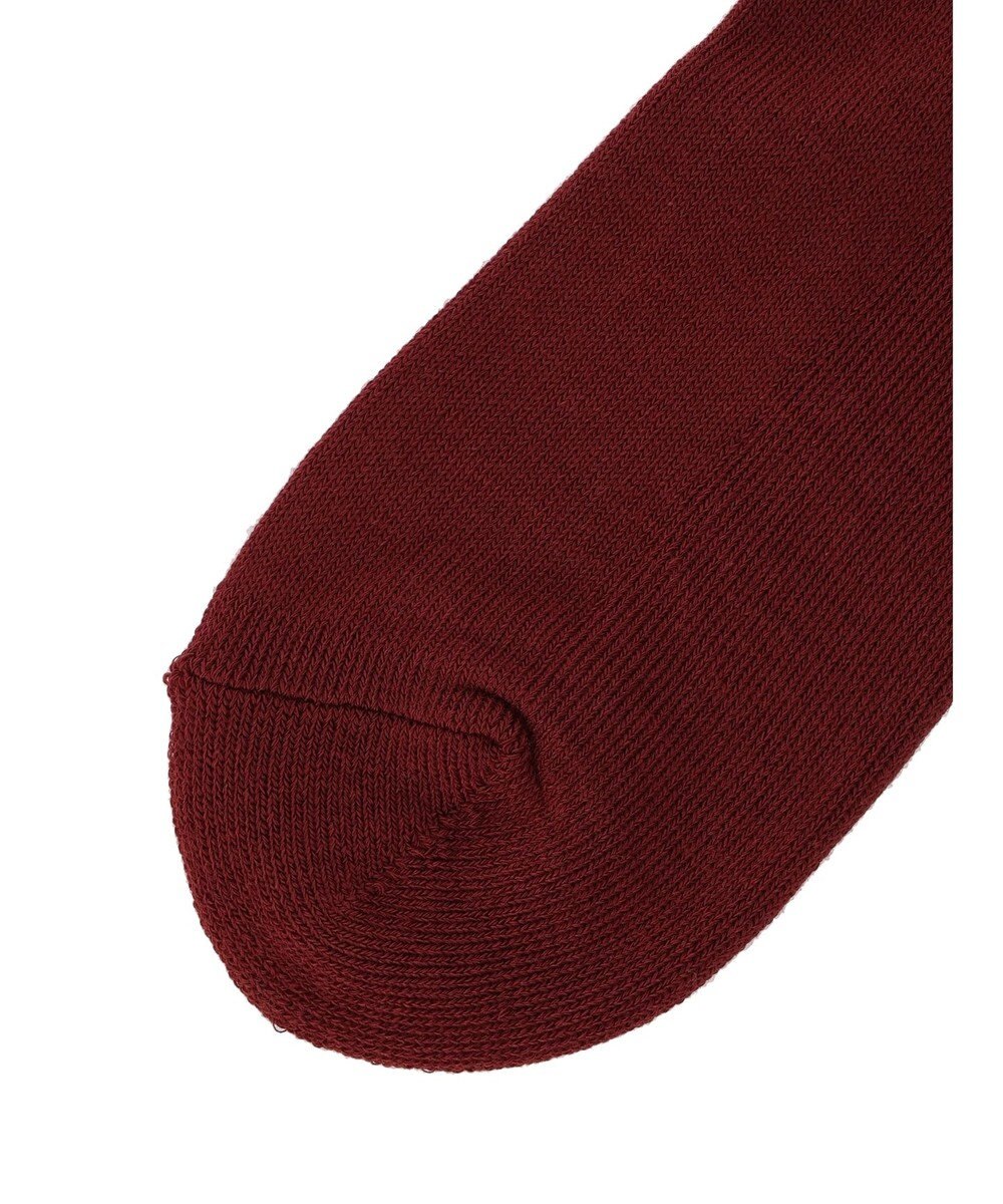 Green Parks ■ＦＲＵＩＴ　ＯＦ　ＴＨＥ　ＬＯＯＭ　３Ｐ縦ロゴソックス 