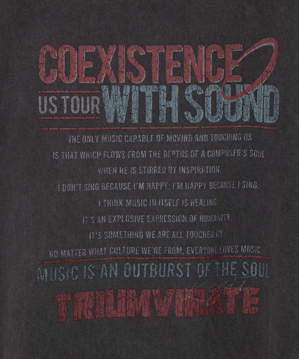 WEGO 【ユニセックス着用アイテム/手洗い可】ピグメントグラフィックノースリーブ 