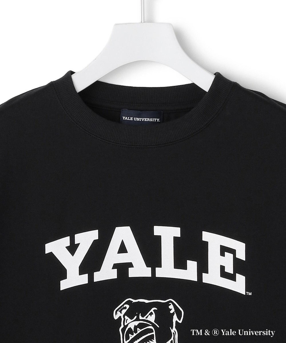 J.PRESS YORK STREET 【YALE別注】【UNISEX】ブルドッグ プリント Tシャツ 