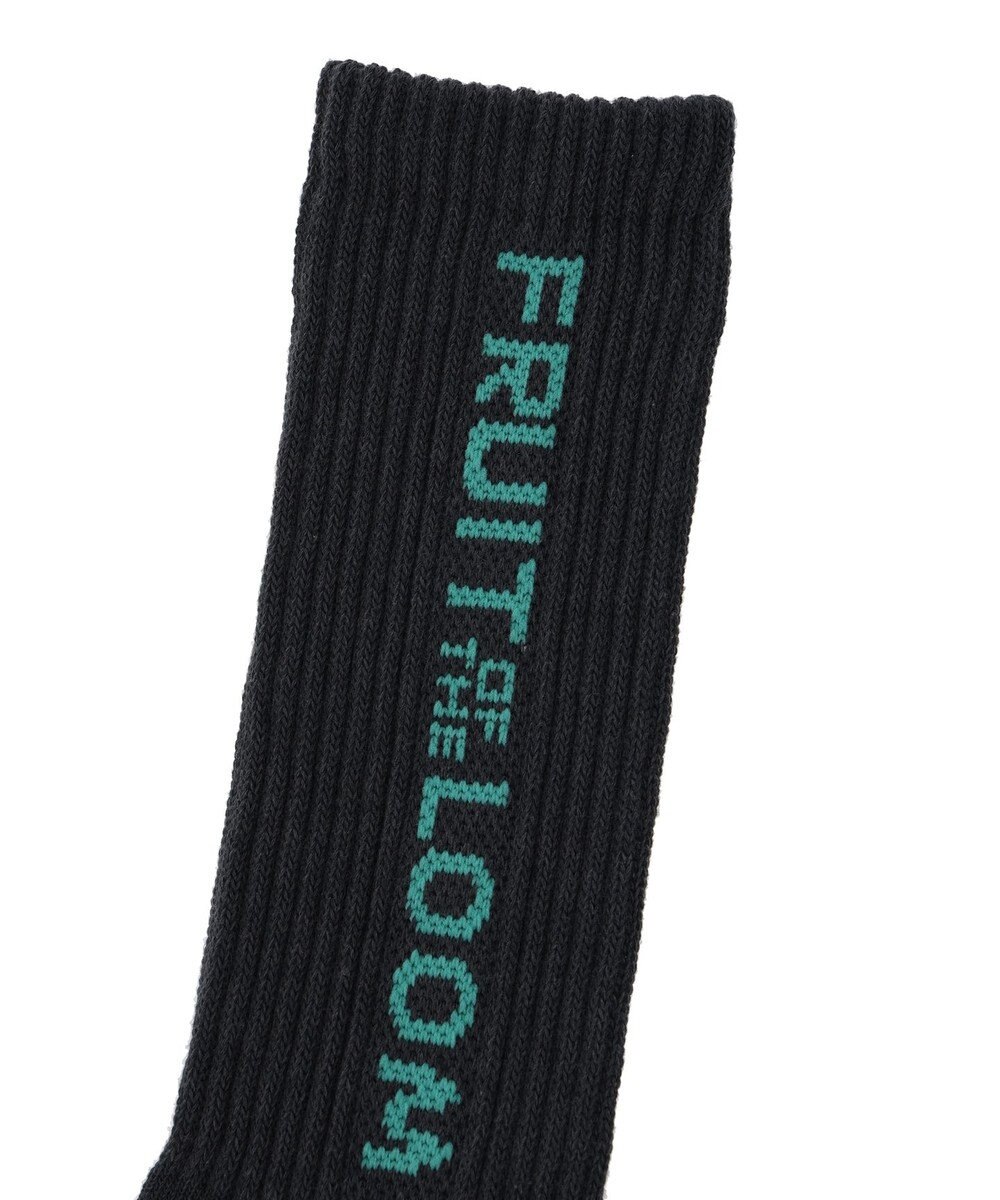 Green Parks ■ＦＲＵＩＴ　ＯＦ　ＴＨＥ　ＬＯＯＭ　３Ｐ縦ロゴソックス 