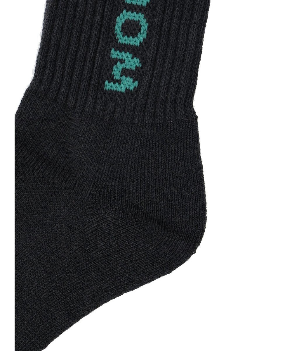 Green Parks ■ＦＲＵＩＴ　ＯＦ　ＴＨＥ　ＬＯＯＭ　３Ｐ縦ロゴソックス 