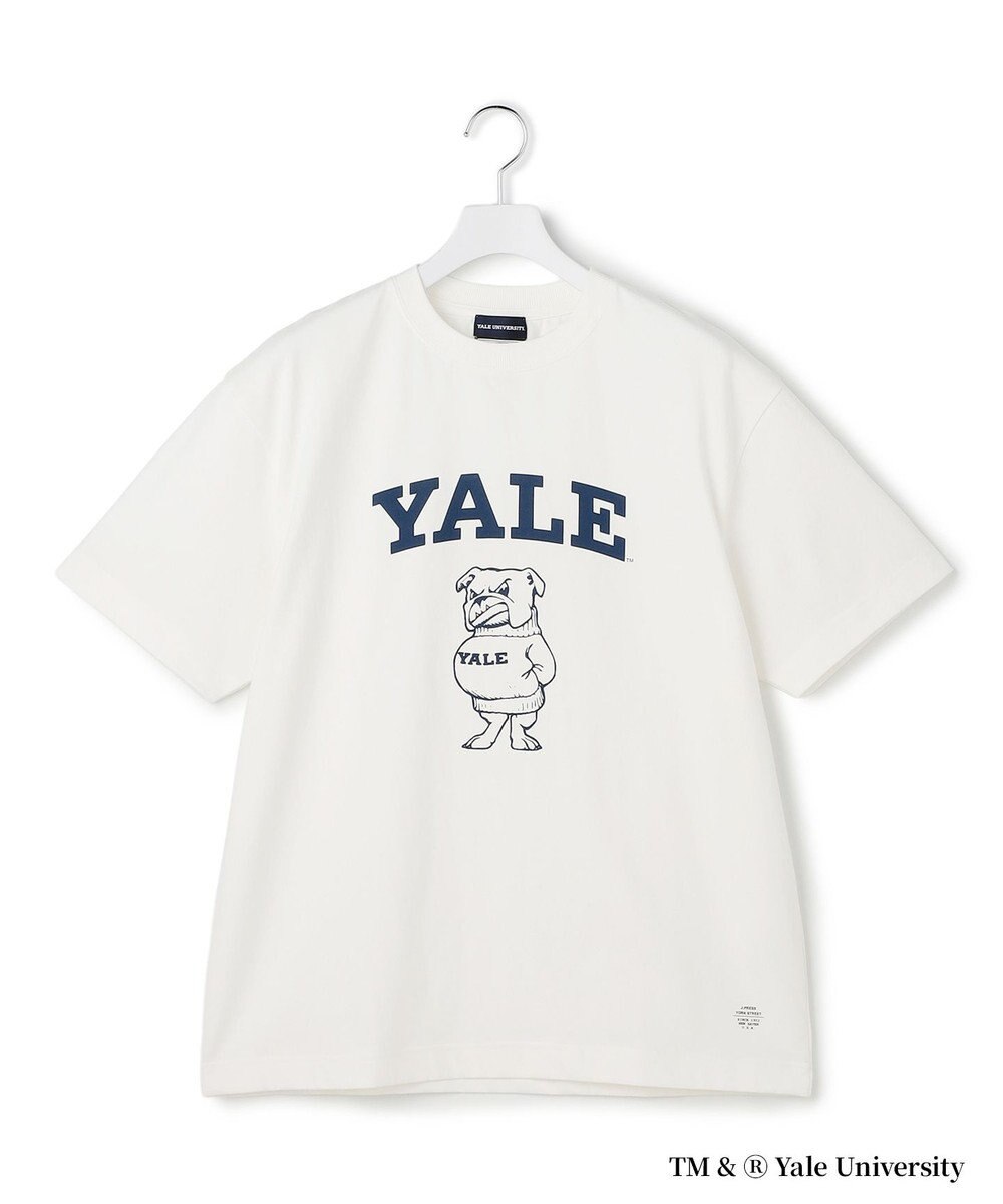 J.PRESS YORK STREET 【YALE別注】【UNISEX】ブルドッグ プリント Tシャツ 