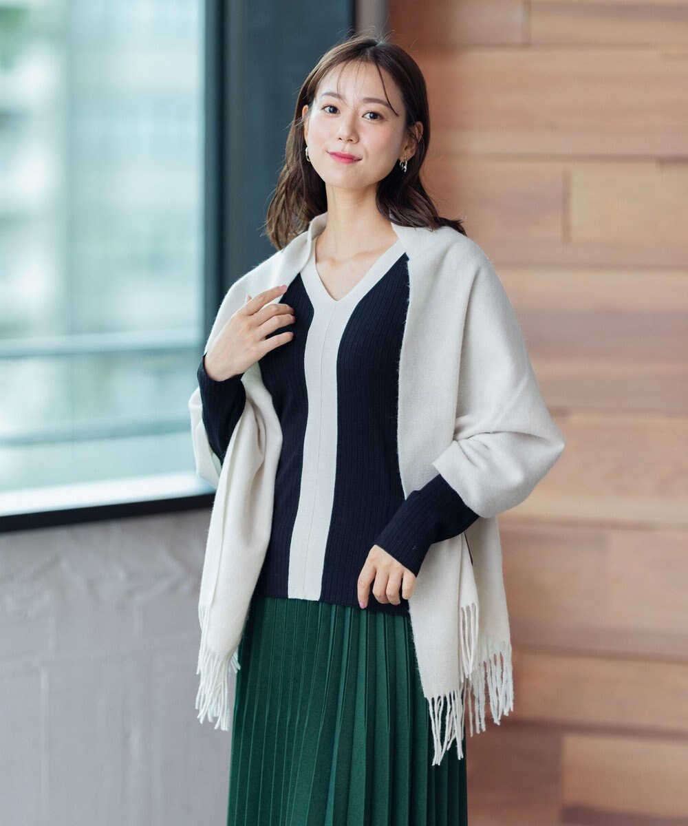 ANY 【洗える】Vネック リブニット 