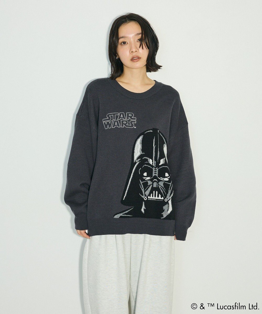 Green Parks ＳＴＡＲ　ＷＡＲＳ／ダース・ベイダーニット 