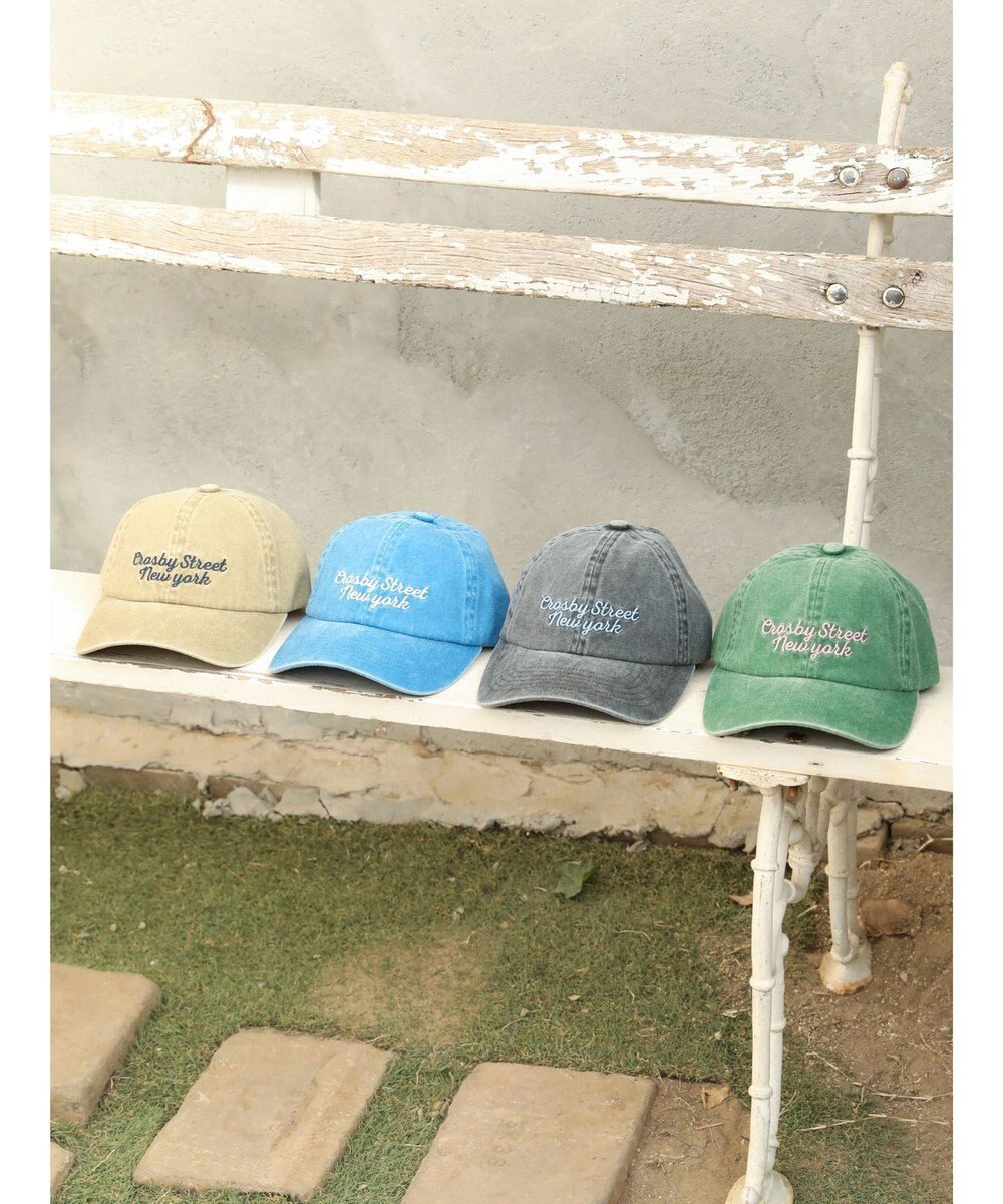 Green Parks ・ＴＯＲＣＨ　ピグメントロゴＣＡＰ 