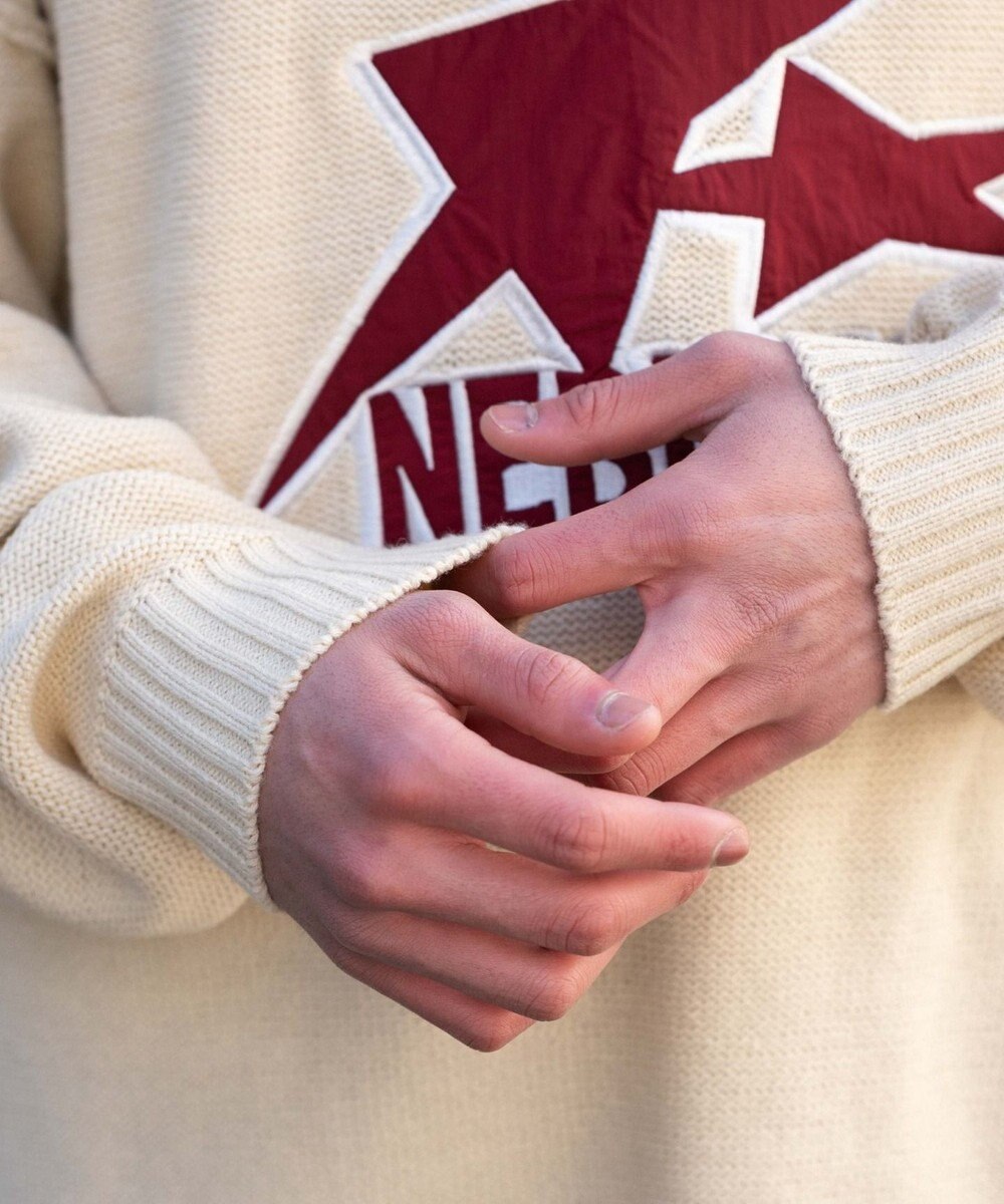 WEGO サテンワッペンニットプルオーバー 