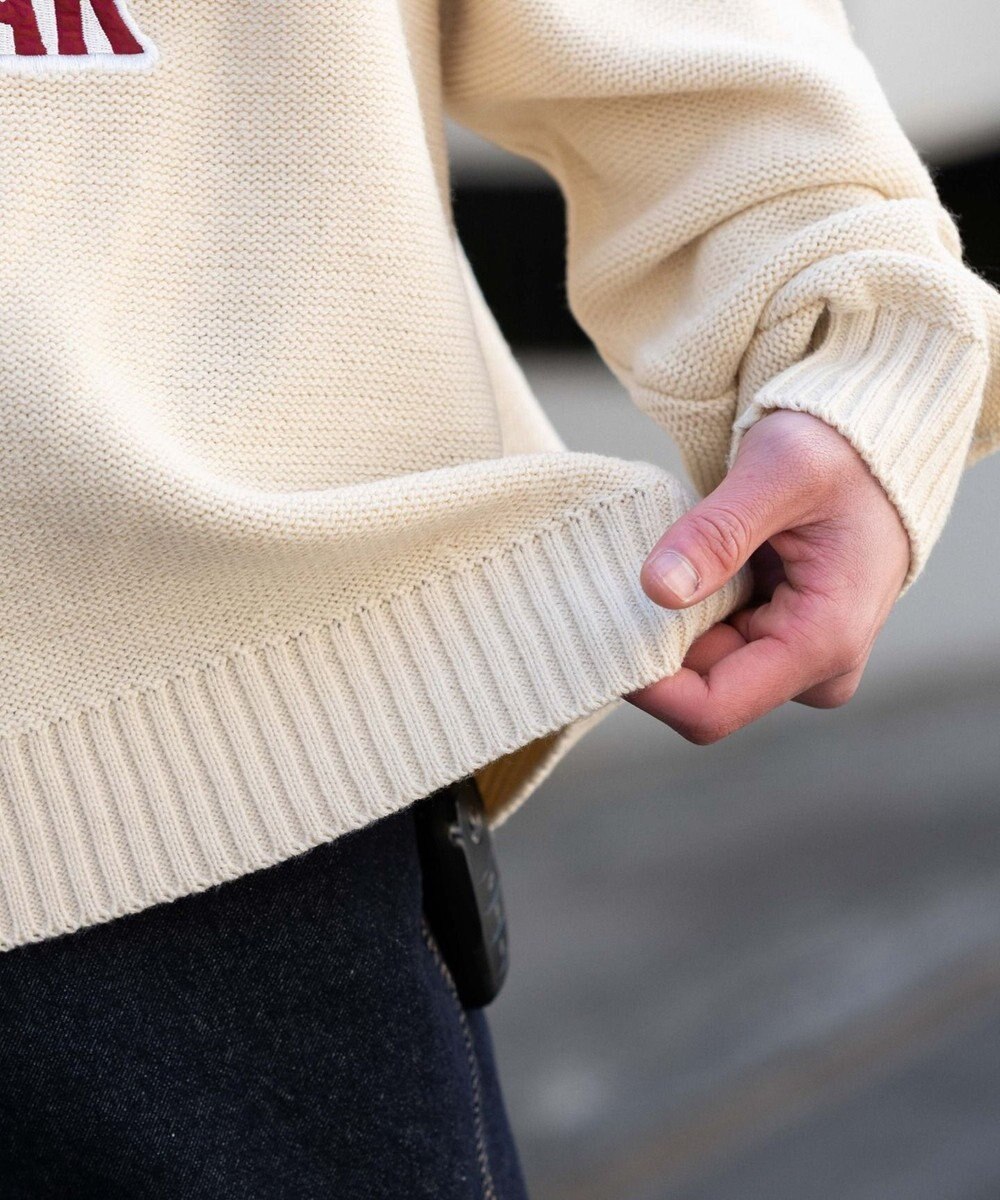 WEGO サテンワッペンニットプルオーバー 