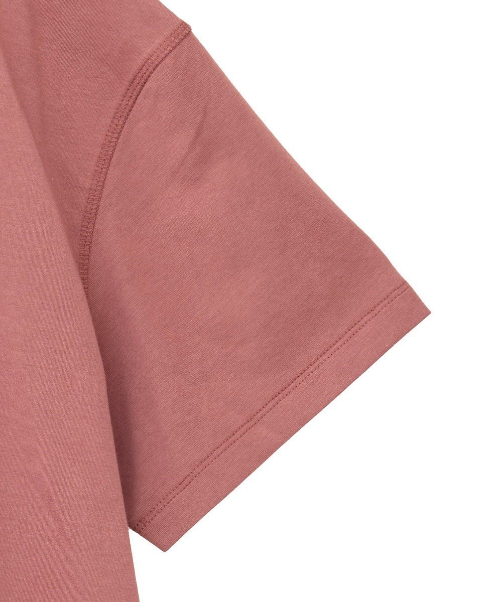 Green Parks ・ＳＵＧＡＲ　ＳＰＯＯＮ　トロンプルイユＴＥＥ 