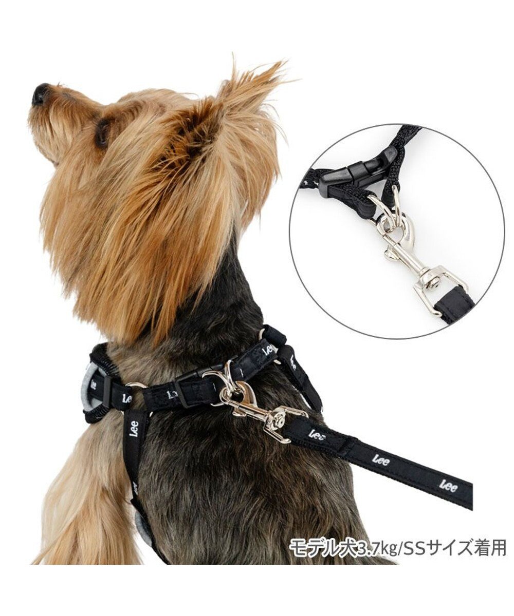 PET PARADISE Lee バンダナ ハーネス＆リード Ｓ 