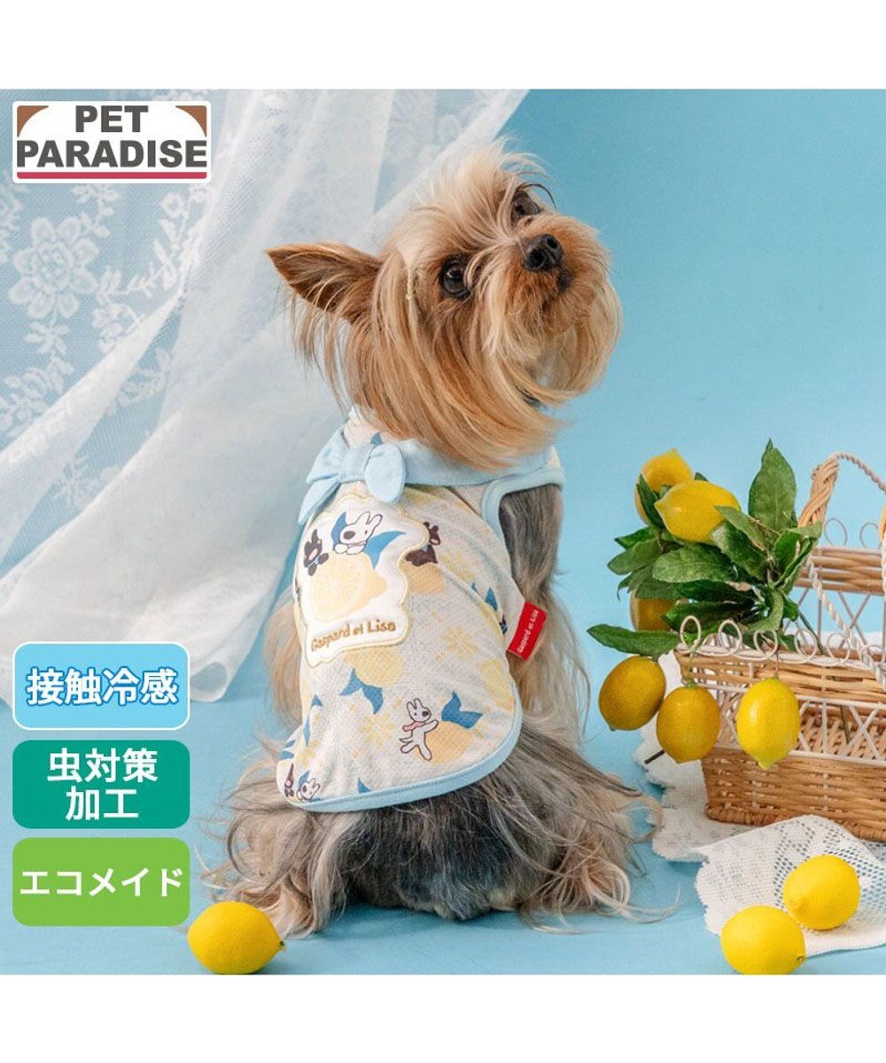 PET PARADISE リサとガスパール エコメイド シトラス タンクトップ 小型犬 