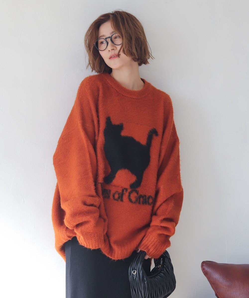 WEGO 【ユニセックス着用ITEM/MLサイズ展開/25年秋冬新作】ファジーグラフィックプルオーバー 