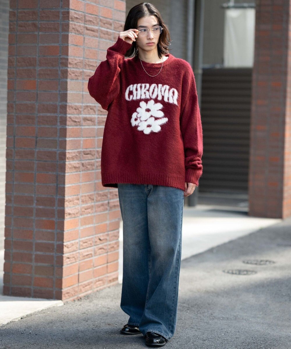 WEGO 【ユニセックス着用ITEM/MLサイズ展開/25年秋冬新作】ファジーグラフィックプルオーバー 