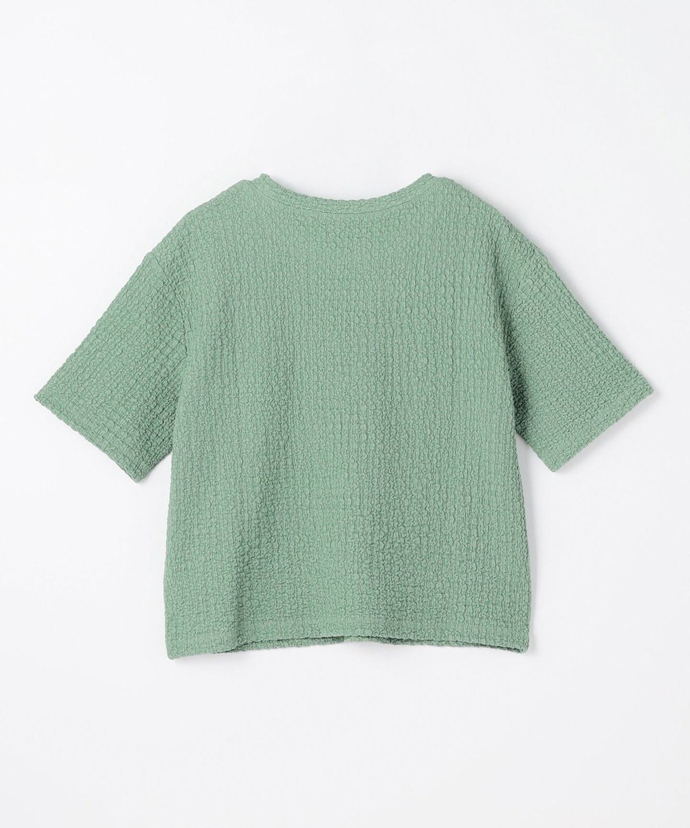 ANY L レースショート丈Tシャツ 