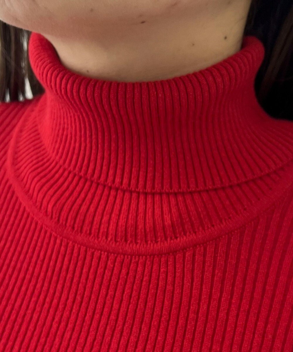 WEGO 【2025年秋冬新作】リブタートルニット 