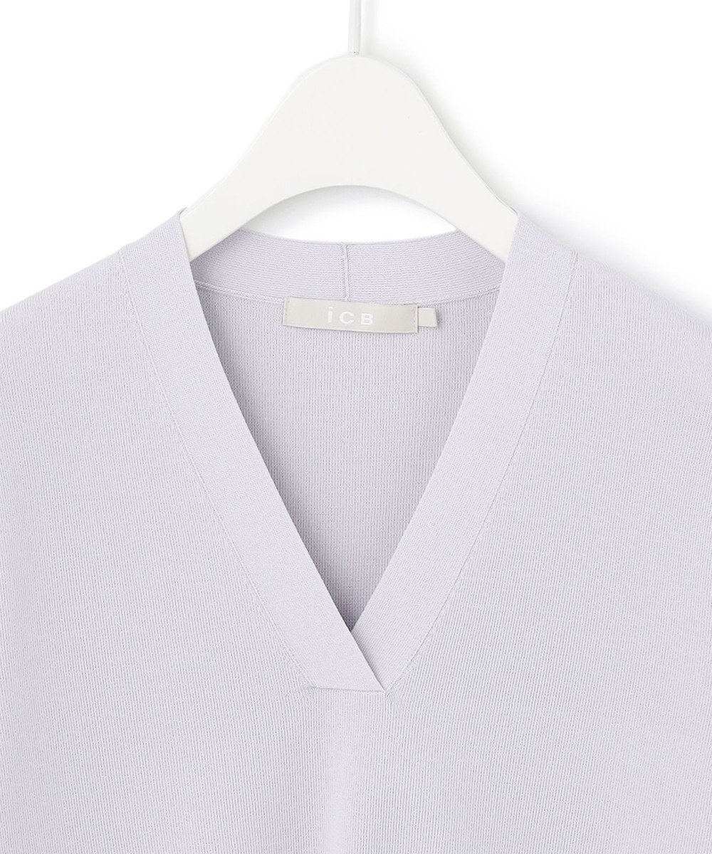 ICB 【洗える】 シンセティックフルニードル Vネックプルオーバー 