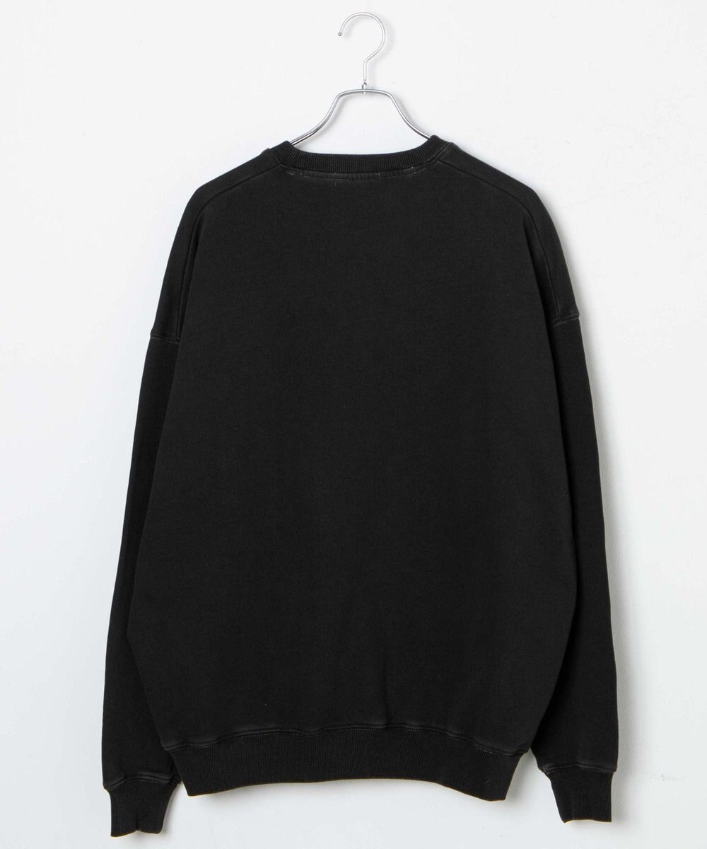 WEGO ピグメントスウェット 