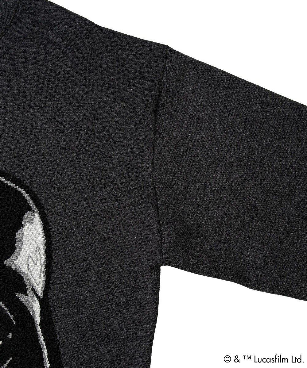 Green Parks ＳＴＡＲ　ＷＡＲＳ／ダース・ベイダーニット 