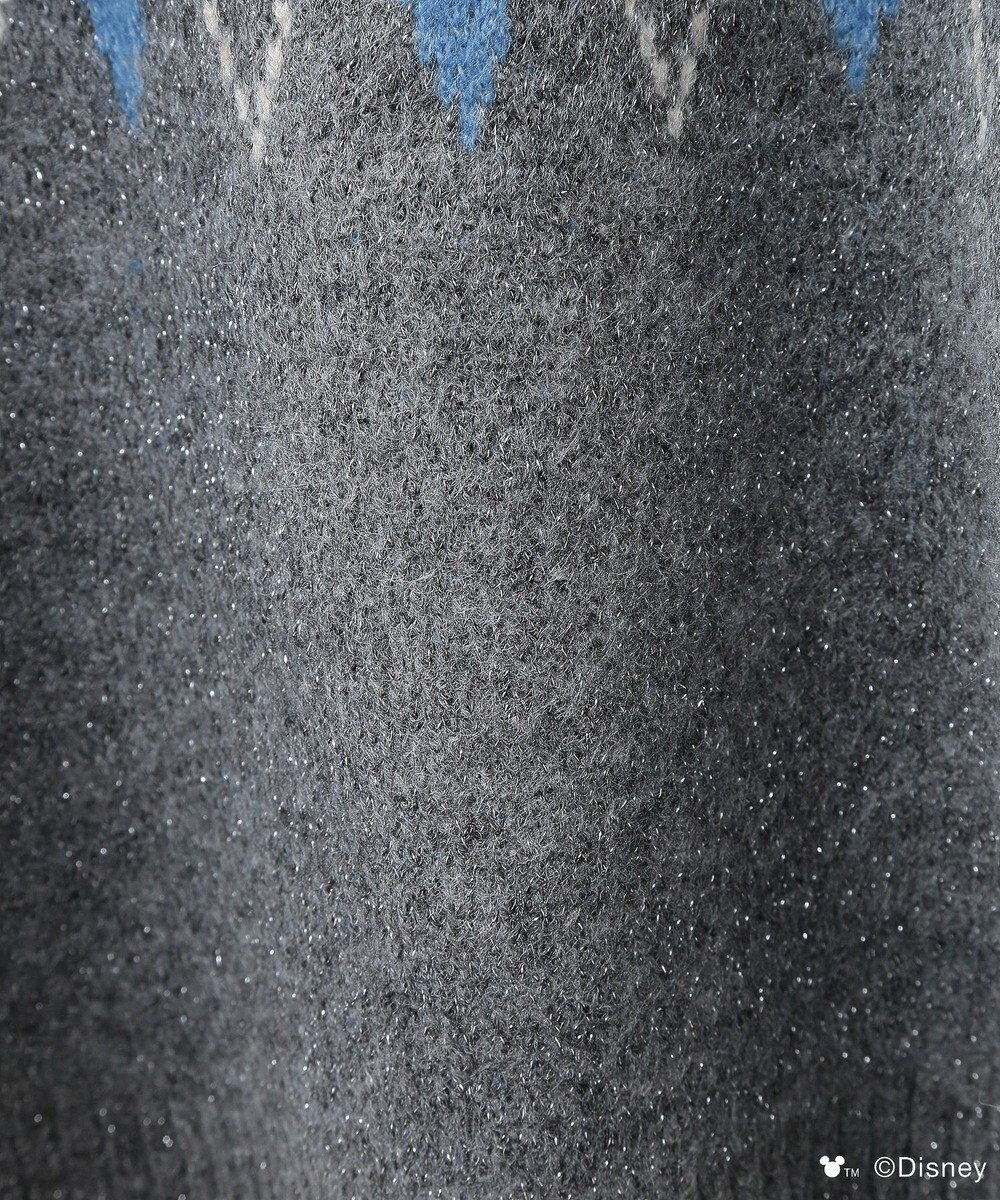 Green Parks ミッキー＆フレンズ／アーガイル柄ニット 