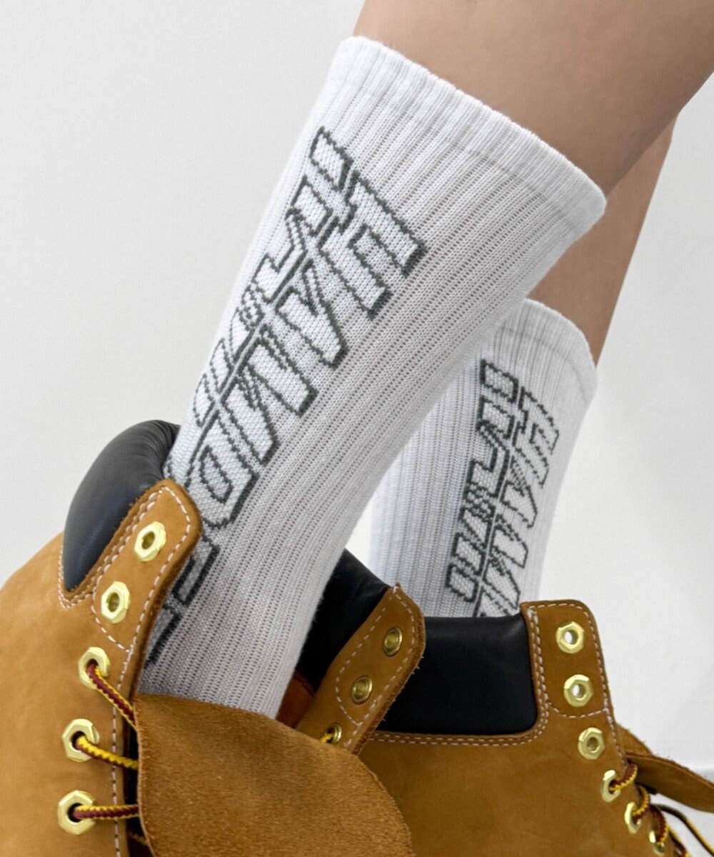 WEGO ロゴデザインソックス（R） 