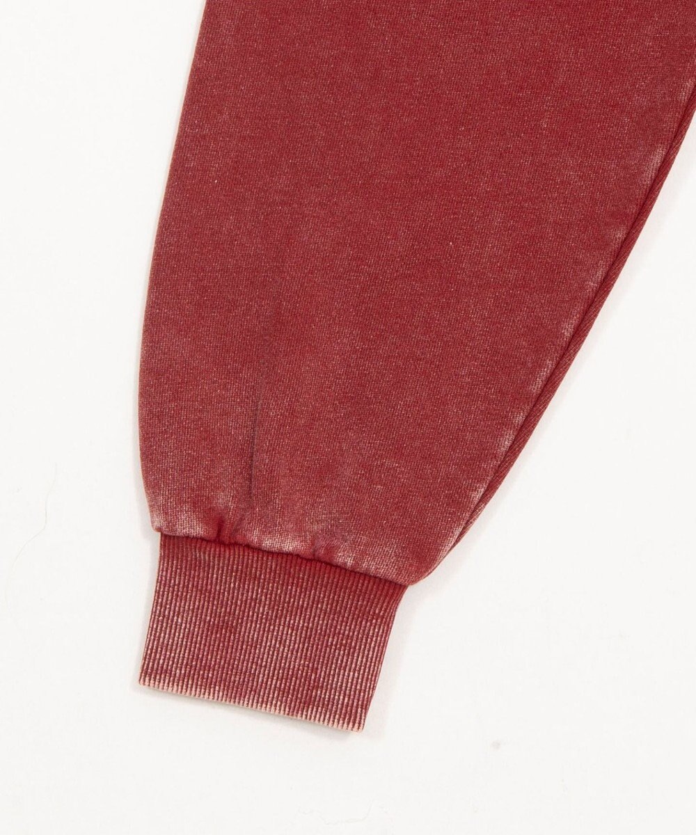 WEGO 【ユニセックス着用ITEM/SMLサイズ展開】グラフィックZIPパーカー 