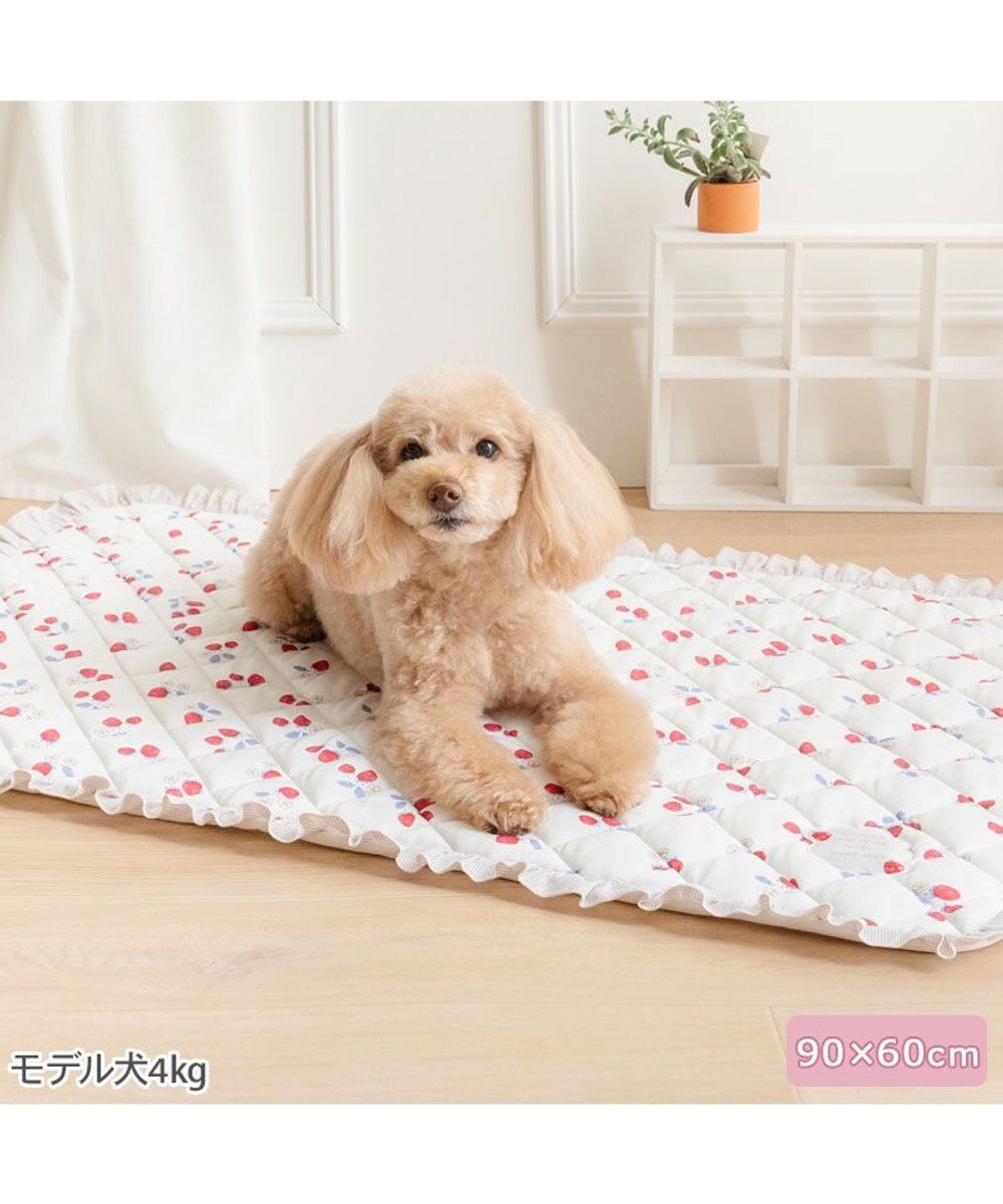 PET PARADISE ペットパラダイス クールマット 《苺花柄》 Ｍ 