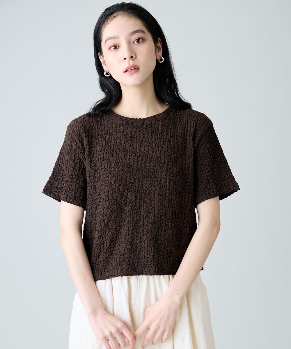 ANY L レースショート丈Tシャツ 