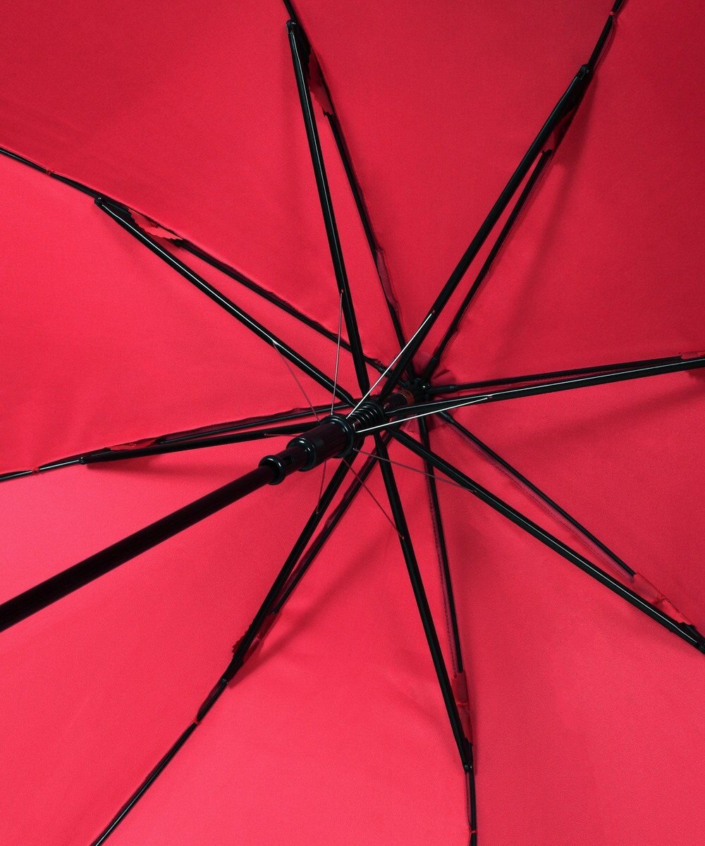 MOONBAT 【WEB限定】POLO RALPH LAUREN（ポロ ラルフローレン）長傘 ワンポイントポロポニー×裾ボーダー 8本骨 