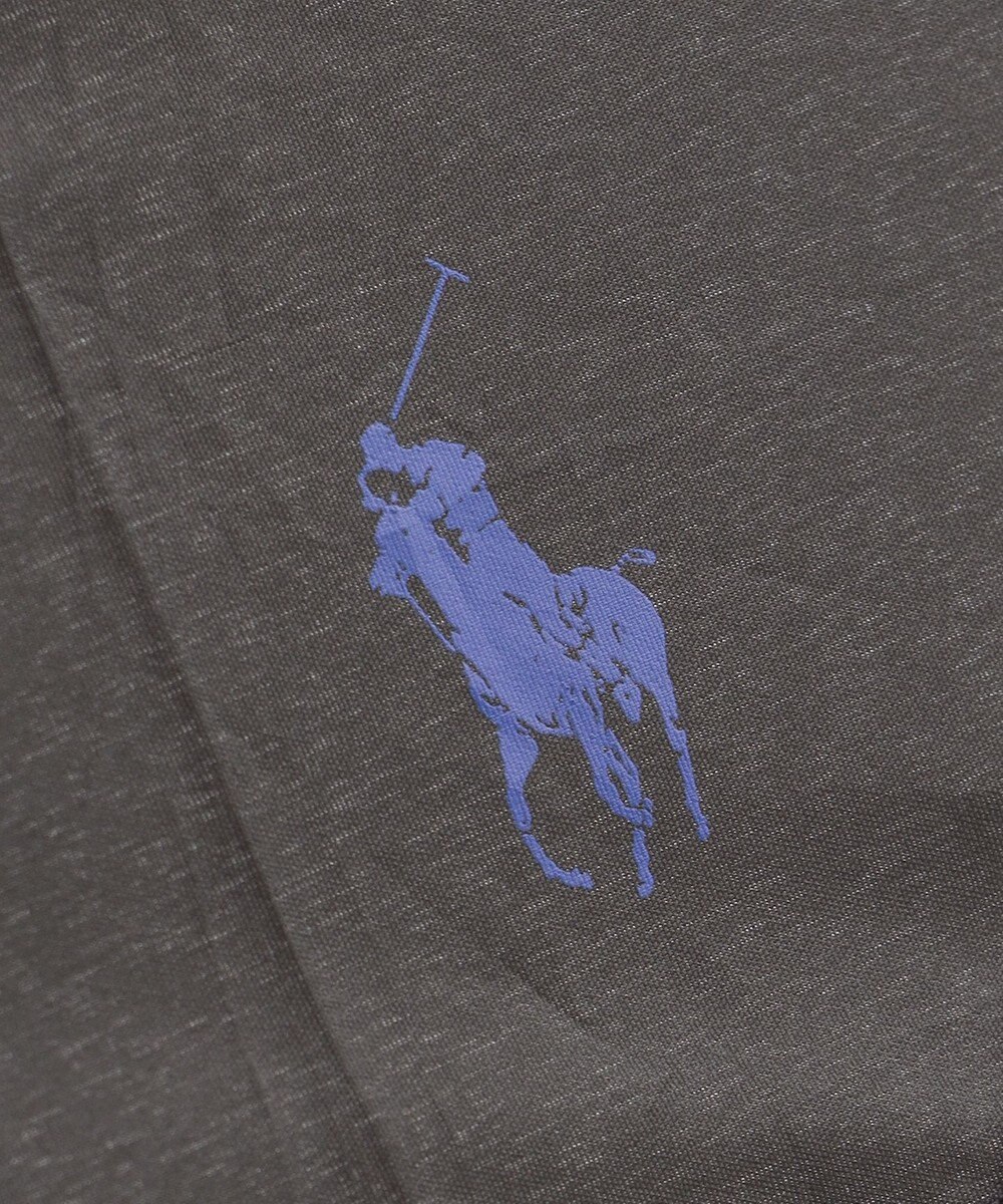 MOONBAT 【大きめ/軽量】POLO RALPH LAUREN 長傘 メンズ プレーン ワンポイント刺繍 65cm 