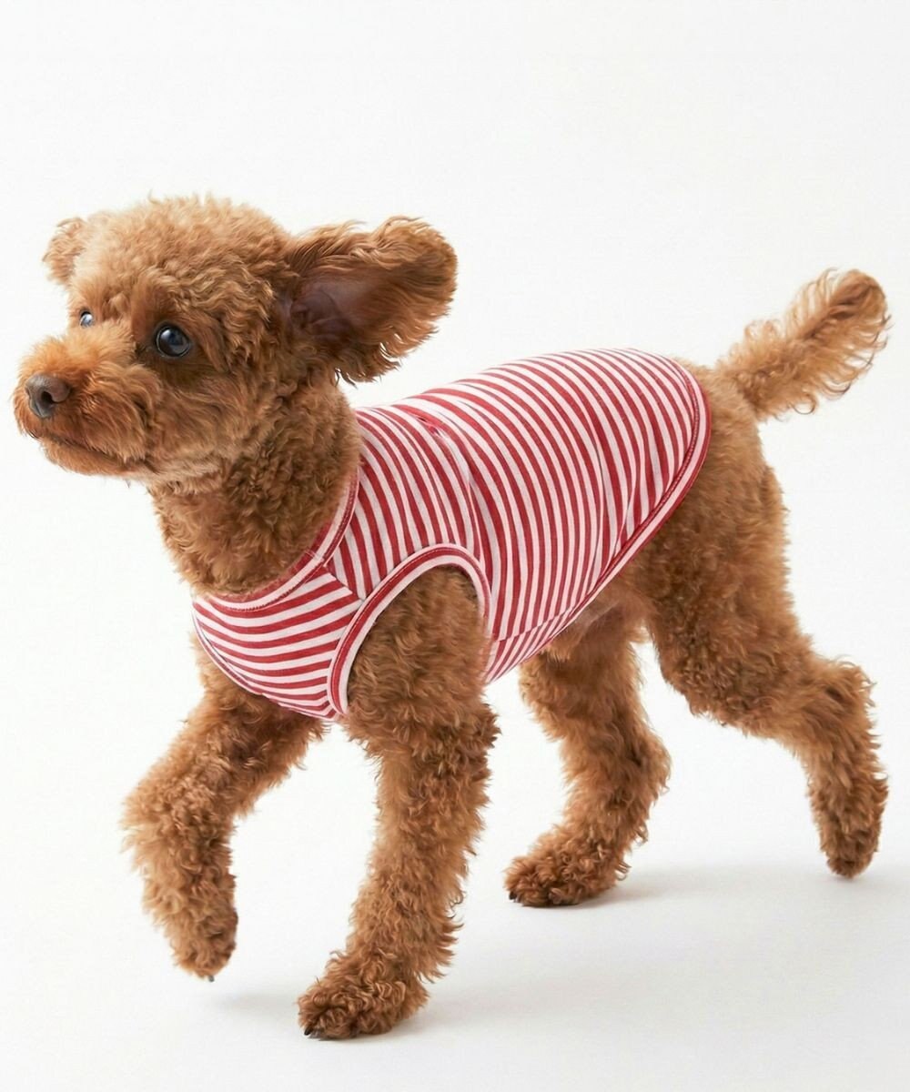 OP／FILA 【Ocean Pacific】ボーダードッグウェア ペットウェア 