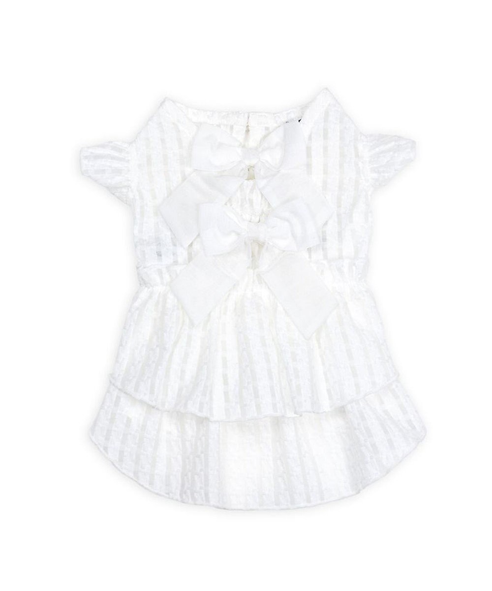 PET PARADISE cherircouture シースルーリボン ワンピース 小型犬 