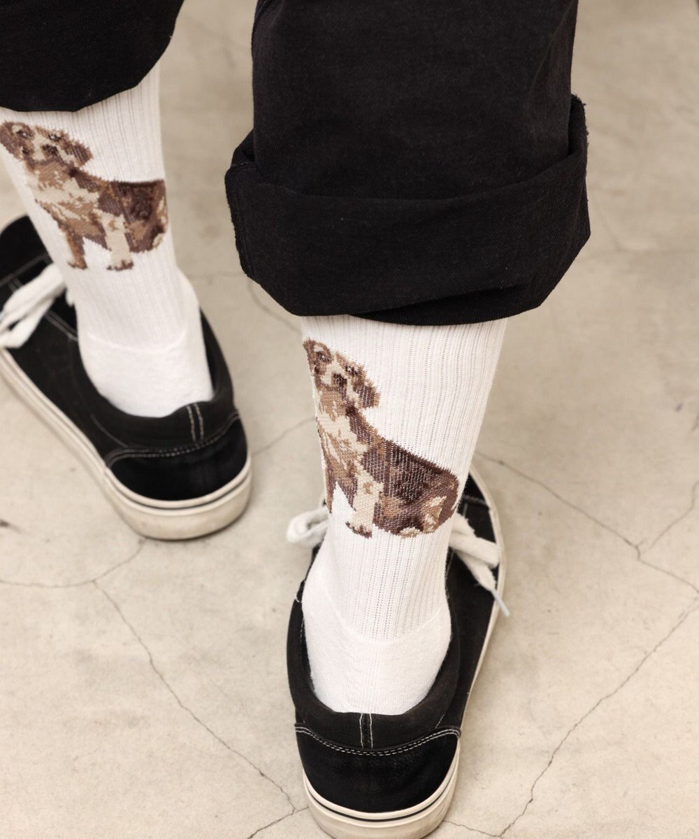 WEGO パターンデザインソックス（R） 