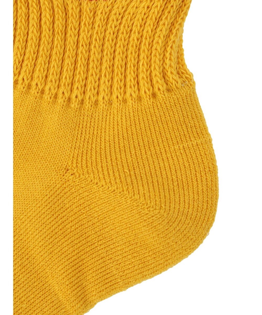 Green Parks ■ＦＲＵＩＴ　ＯＦ　ＴＨＥ　ＬＯＯＭ　３Ｐロゴ刺繍ソックス 