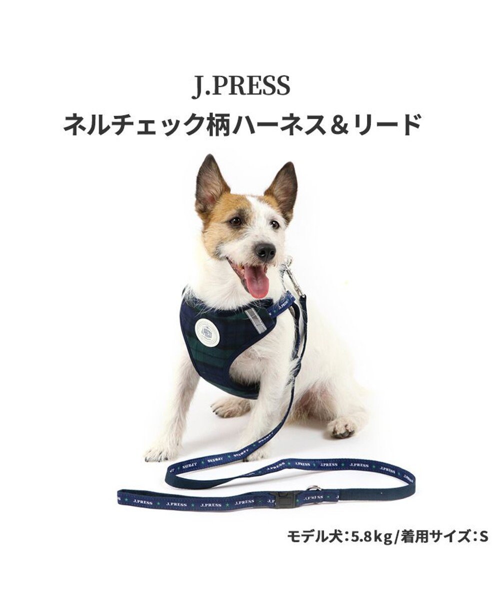 犬 ハーネス リード J Press ハーネス リード ３ｓ ブラックウォッチ 小型犬 おさんぽ おでかけ お出掛け おしゃれ オシャレ かわいい Pet Paradise ファッション通販 公式通販 オンワード クローゼット