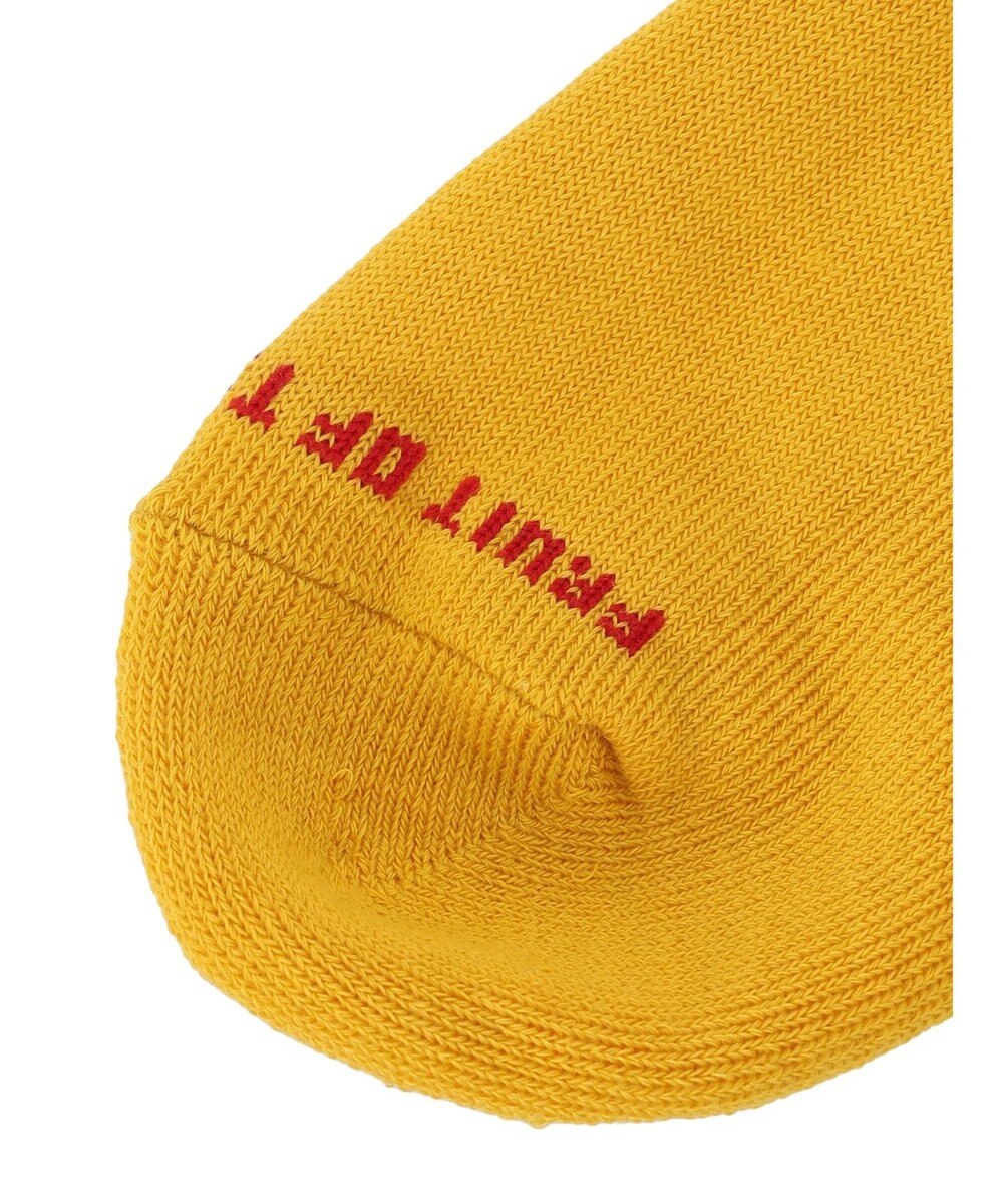 Green Parks ■ＦＲＵＩＴ　ＯＦ　ＴＨＥ　ＬＯＯＭ　３Ｐロゴ刺繍ソックス 