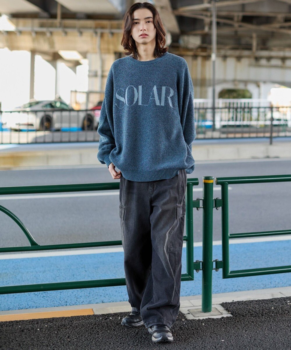 WEGO 【ユニセックス着用ITEM】ベロアモールグラフィックプルオーバー 