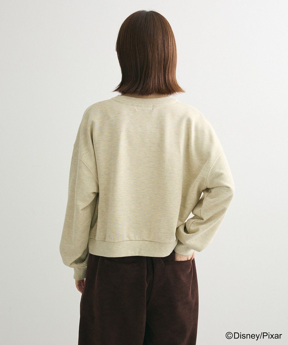 Green Parks トイストーリー／立体ロゴショートプルオーバー 