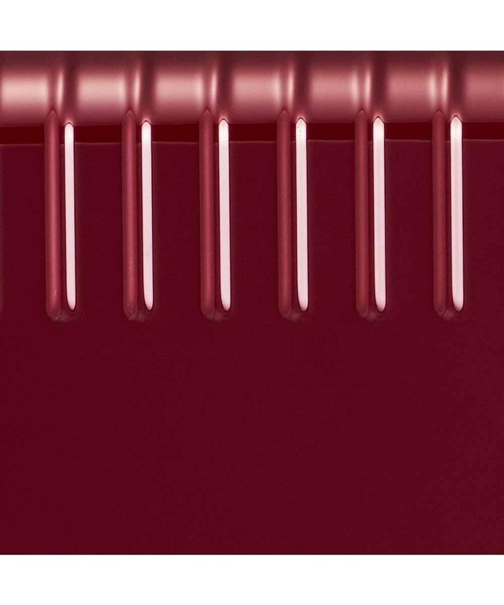 ACE BAGS & LUGGAGE ace. エース パリセイド3-Z 06917 スーツケース ジッパータイプ エキスパンダブル 33~41リットル 