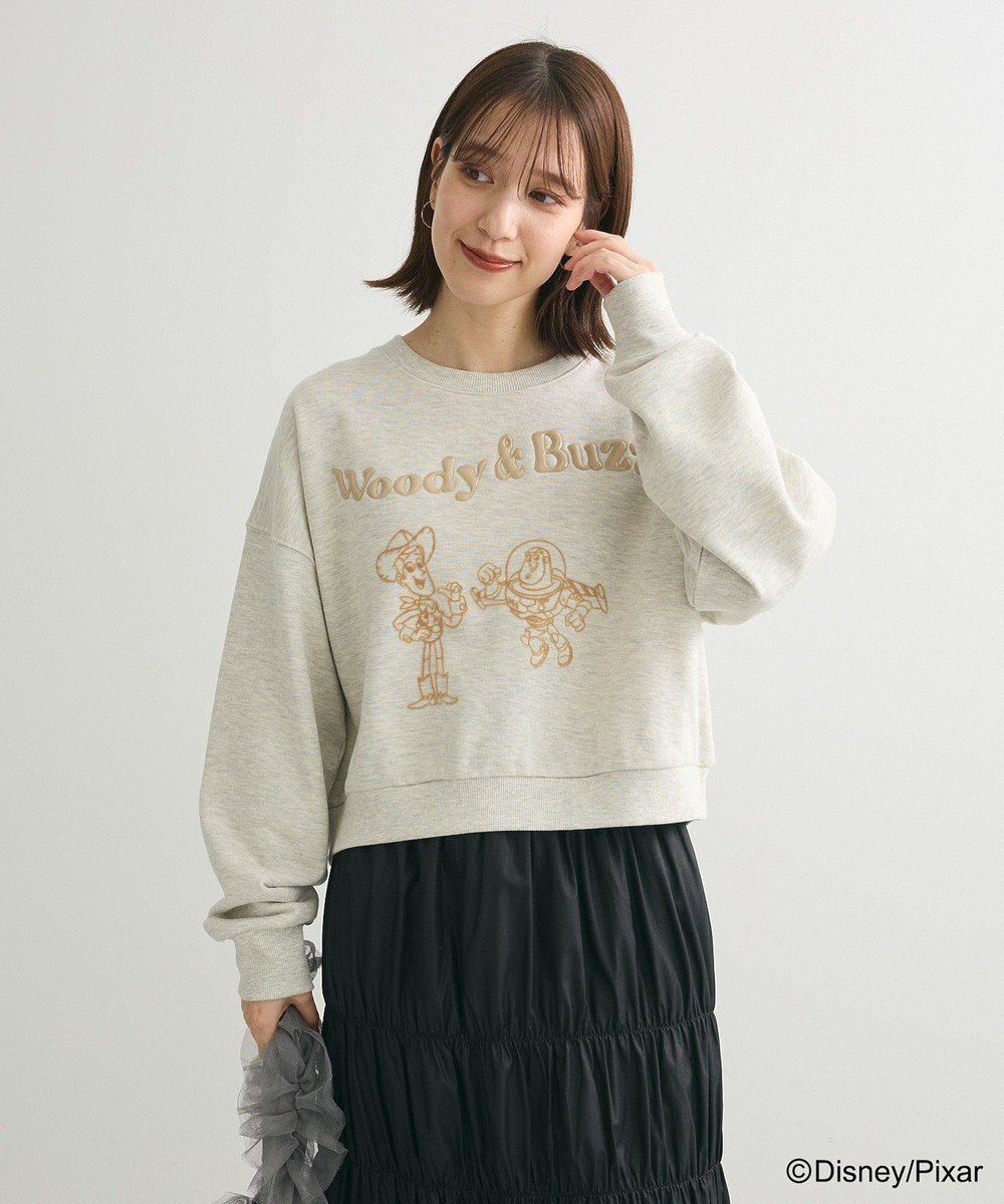 Green Parks トイストーリー／立体ロゴショートプルオーバー 
