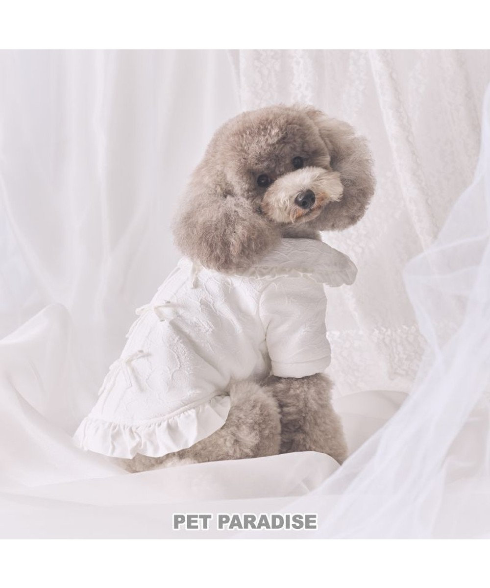 PET PARADISE cherircouture ジャガードコート 小型犬 ホワイト