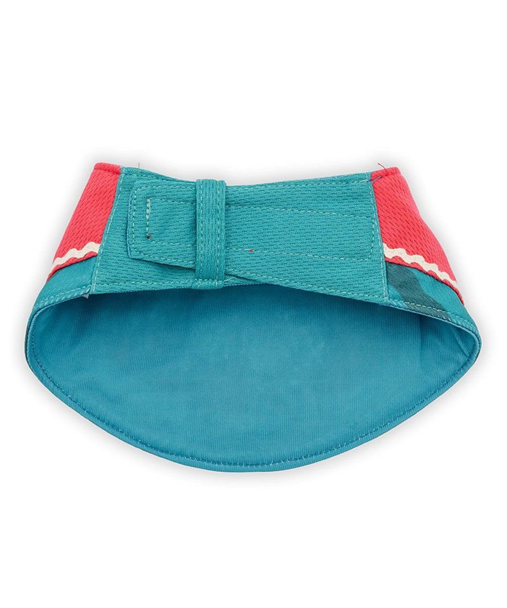 PET PARADISE スヌーピー クールバンダナ 《スイカ柄》 中型犬 大型犬 