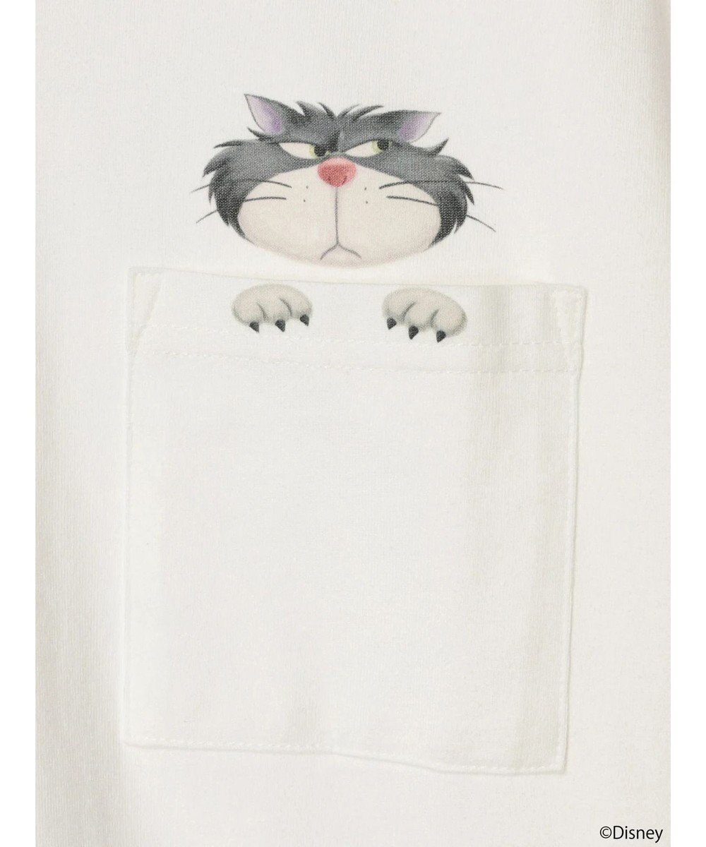 earth music&ecology Ｄｉｓｎｅｙ／覗きルシファーポケットロンＴ 