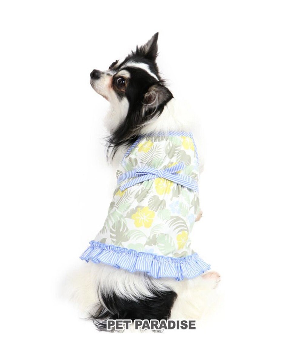 犬服 犬 服 ペットパラダイス クール 接触冷感 虫よけ ボタニカル キャミソール 水色 小型犬 超小型犬 小型犬 ひんやり 夏 涼感 冷却 吸水速乾 クールマックス Pet Paradise ファッション通販 公式通販 オンワード クローゼット